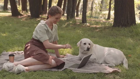 Dog Owner Using Computer in Park Video stock 158541483