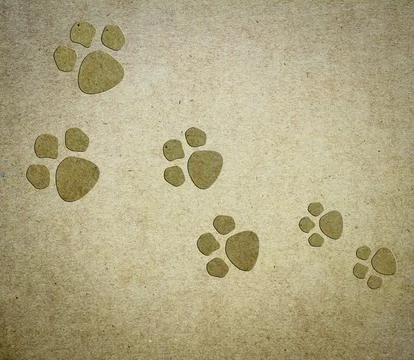 Dog paper background Stock Photos
