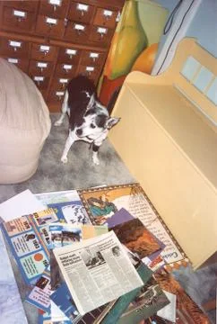Dog with papers Stock Photos