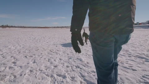 Dog Park Stock Footage 265504963