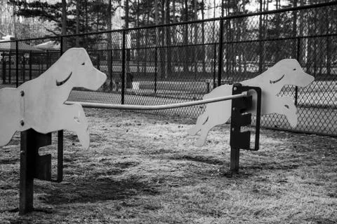 Dog Park Stock Photos