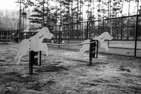 Dog Park Stock Photos