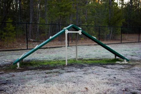 Dog Park 스톡 사진