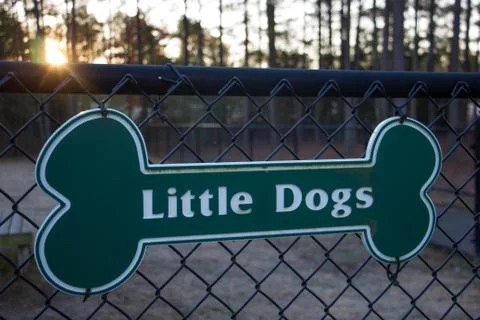 Dog Park Stock Photos