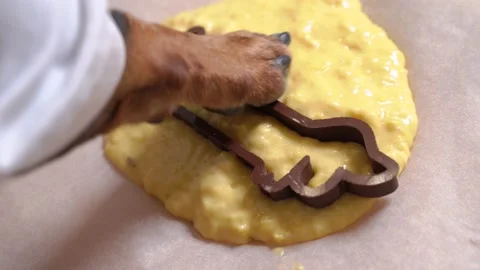 Dog paw puts baking dish on dough on table to bake cookies in shape of dachsh Stock Footage 133612153