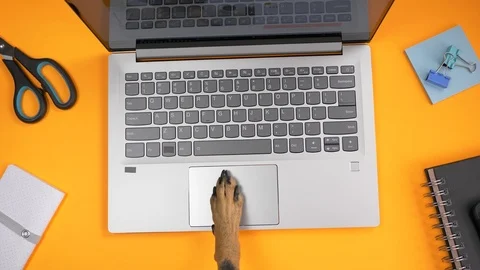 Dog Paw Using a Laptop Computer Touchpad Top View Video stock 106083323