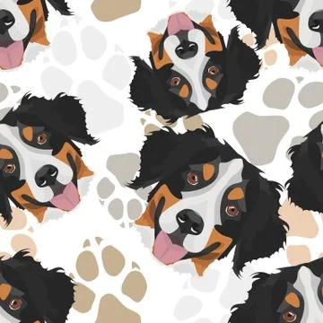Dog paws pattern Bernese Mountain Dog. イラスト素材