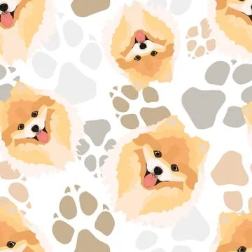 Dog paws pattern Chow. Stock Illustration
