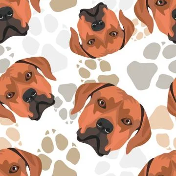 Dog paws pattern Rhodesian Ridgeback. Illustrazione stock