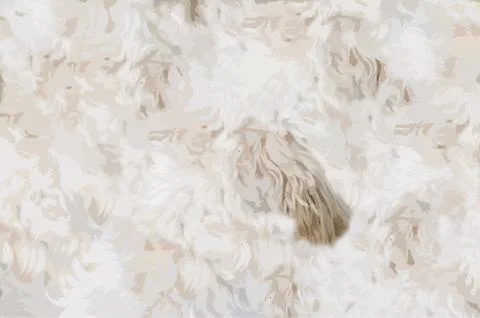 Dog pelt Stock Illustration