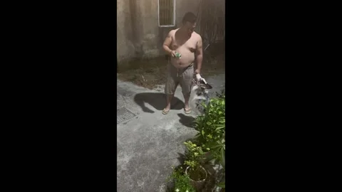 A Dog Performing "Shadowless Kick" in Shantou, China Stock Footage 255789638