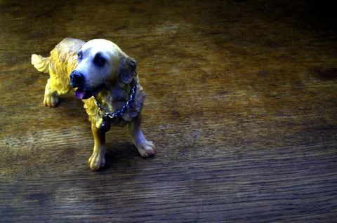 Dog Stock Photos
