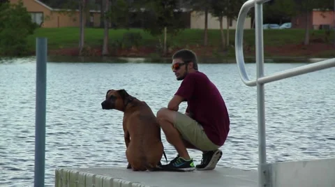 Dog on pier Vídeos de archivo 42201426