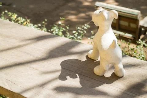 Dog plaster decorated wooden table with shadows Stock Photos