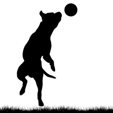 Dog playing with ball Stock Illustration