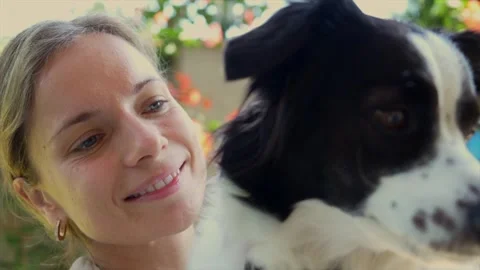 Dog Playing in the Grass Stock Footage 292495040