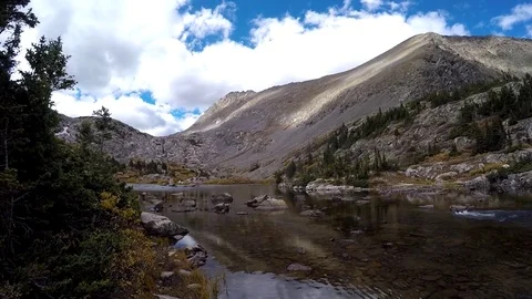 Dog Playing in Mountain Lake Stock Footage 79572429