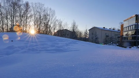Dog playing in snow Stock Footage 105057028