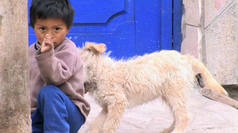 Dog plays with Peruvian boy Stock Footage 156541