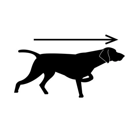 Dog pointer icon sign 스톡 일러스트