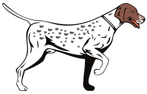 Dog pointer side view retro Stock Illustration