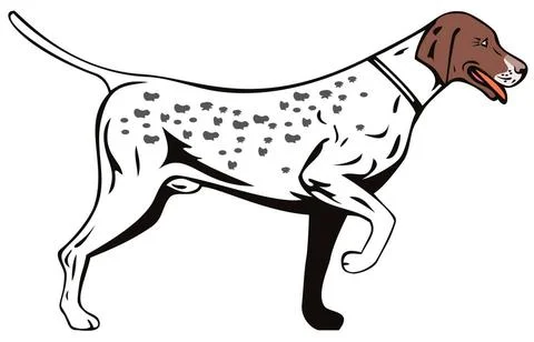 Dog Pointer Side View Retro Illustration of dog pointer side view done in ... Stock Photos