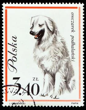 Dog on Polish postmark Stock Photos