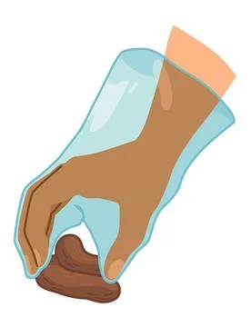Dog poo clean up, one step infographic. Vector poster about hygiene animal Stock Illustration