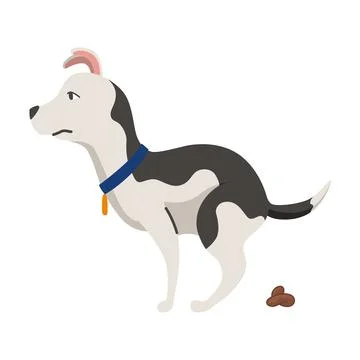 Dog poo clean up, one step infographic. Vector poster about hygiene animal Stock Illustration