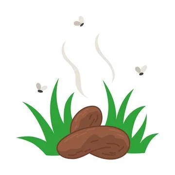 Dog poo clean up, one step infographic. Vector poster about hygiene animal Stock Illustration