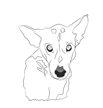 Dog portrait, lines, vector Stock Illustration