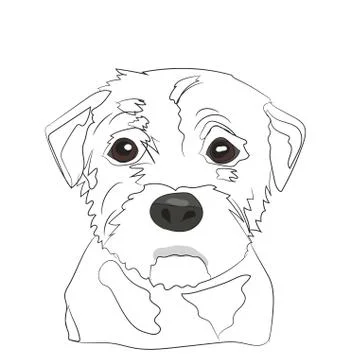 Dog portrait, lines, vector Stock-Illustration