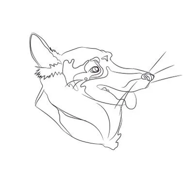 Dog portrait, lines, vector Illustrazione stock
