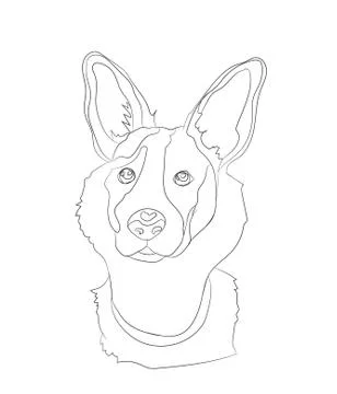 Dog portrait, lines, vector Illustrazione stock