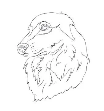 Dog portrait, lines, vector Illustrazione stock