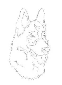 Dog portrait, lines, vector Stock Illustration