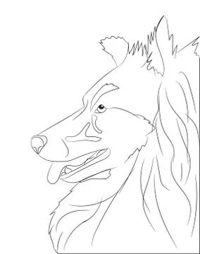 Dog portrait, lines, vector Stock Illustration