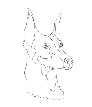 Dog portrait, lines, vector Stock-Illustration