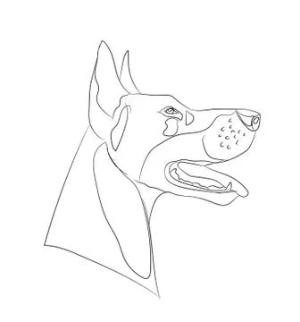 Dog portrait, lines, vector Stock-Illustration