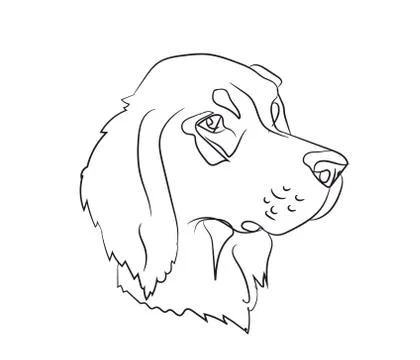 Dog portrait, lines, vector Stock Illustration