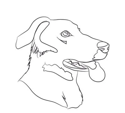 Dog portrait, lines, vector Illustrazione stock