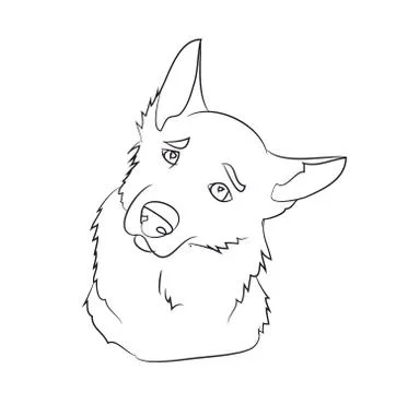 Dog portrait, lines, vector Stock Illustration