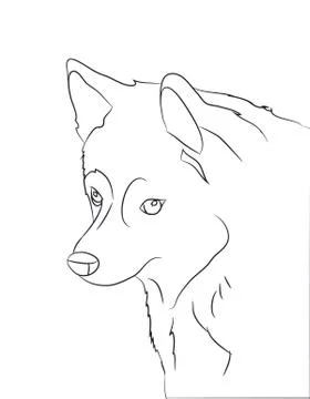 Dog portrait, lines, vector Stock Illustration