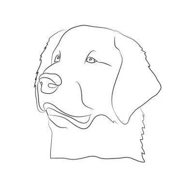 Dog portrait, lines, vector Stock Illustration