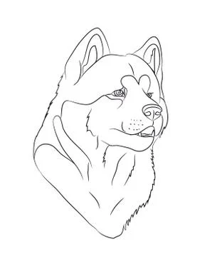 Dog portrait, lines, vector Stock Illustration