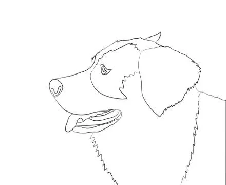Dog portrait, lines, vector Stock Illustration