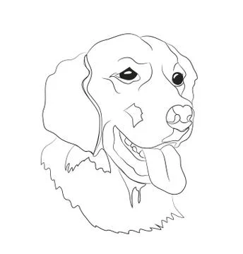 Dog portrait, lines, vector Stock Illustration