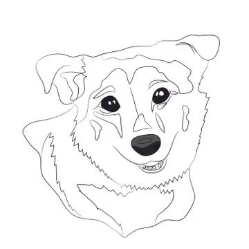 Dog portrait, lines, vector Stock Illustration