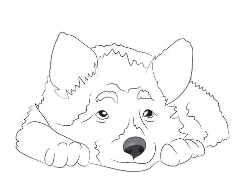 Dog portrait, lines, vector Stock Illustration