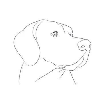 Dog portrait, lines, vector Illustrazione stock